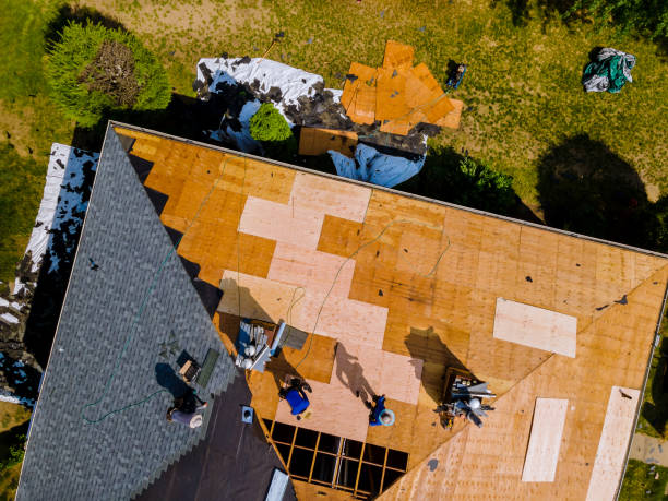 Professional Roofing Contractor in Waterville, MN