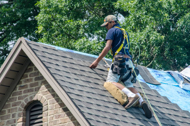 Quick and Trustworthy Emergency Roof Repair Services in Waterville, MN