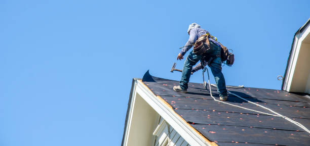 Best Flat Roof Repair Services  in Waterville, MN